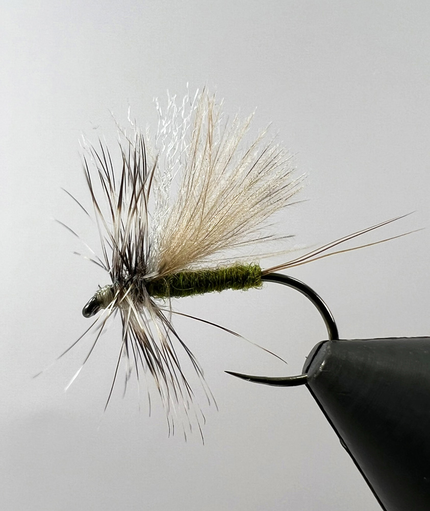 Olive May Fly