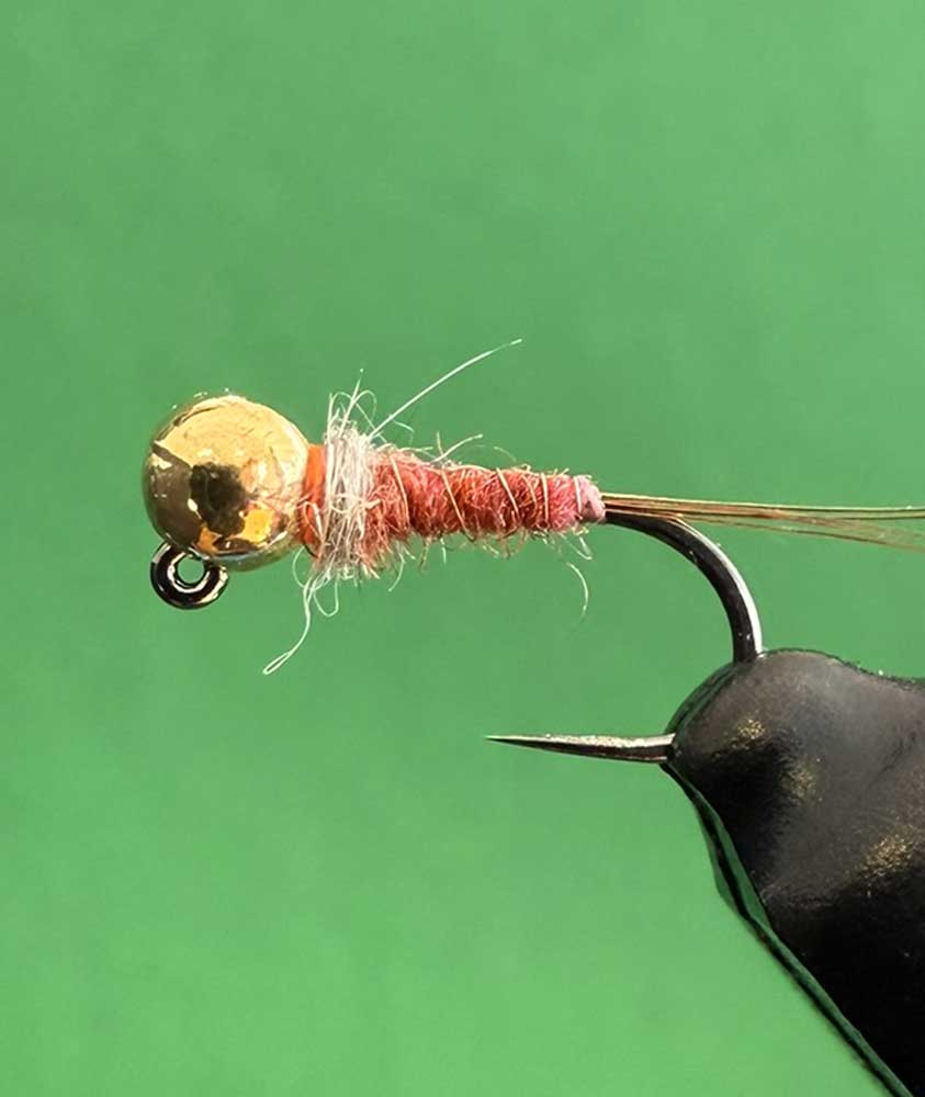 Raspberry Nymph