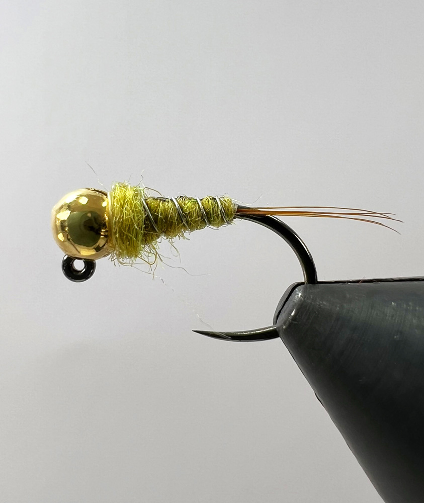 Greeny Nymph