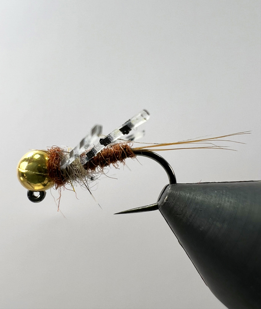Brown Nymph